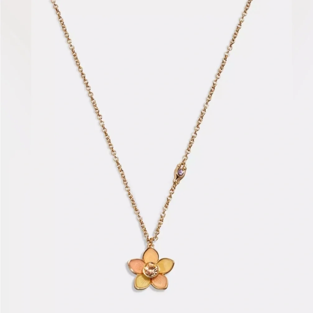 NWT Coach‎ Transparent Wildflower Necklace